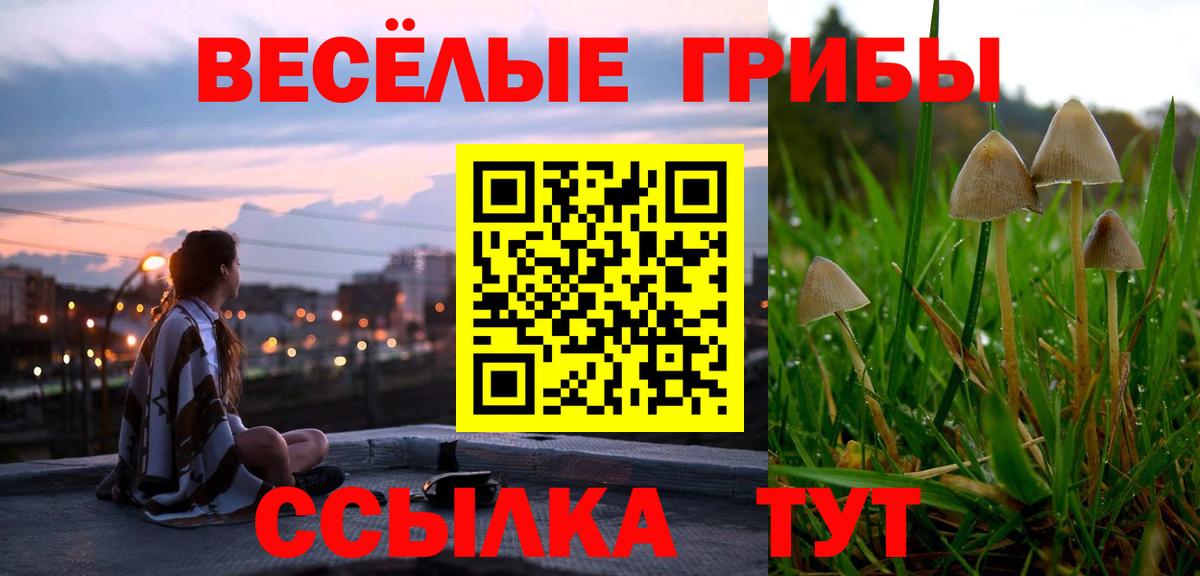 Галлюциногенные грибы MAGIC MUSHROOMS Тейково