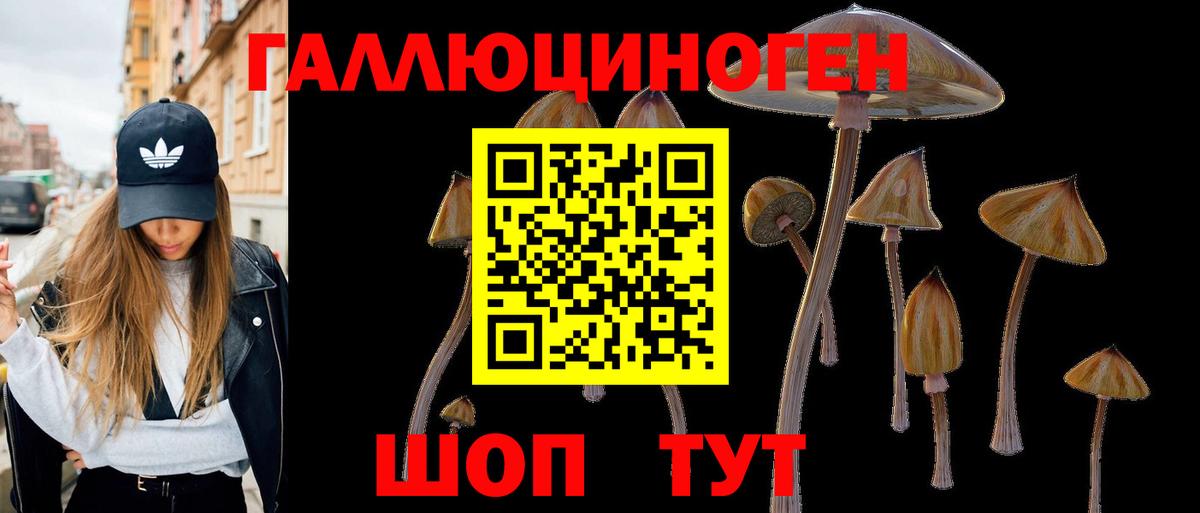 Псилоцибиновые грибы мицелий  Вход с VPN  Тейково  Псилоцибиновые грибы прущие грибы 
